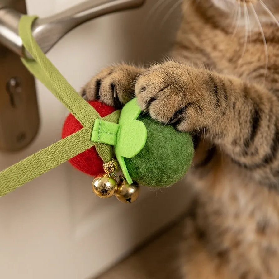 Gros plan sur les pattes d'un chat attrapant le jouet en peluche suspendu à la poignée de porte pour jouer seul.