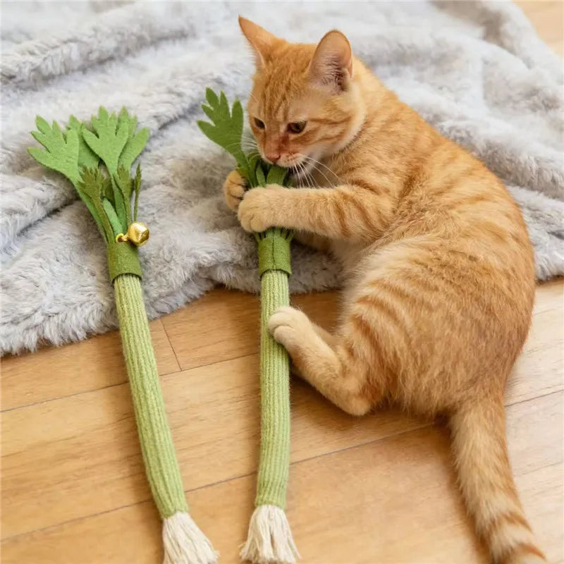 Chat couché par terre mâchant son herbe à chat