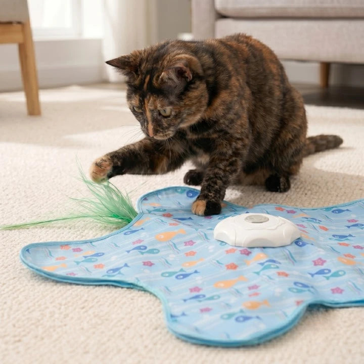 Jouet interactif cache-cache pour chat, plume motorisée