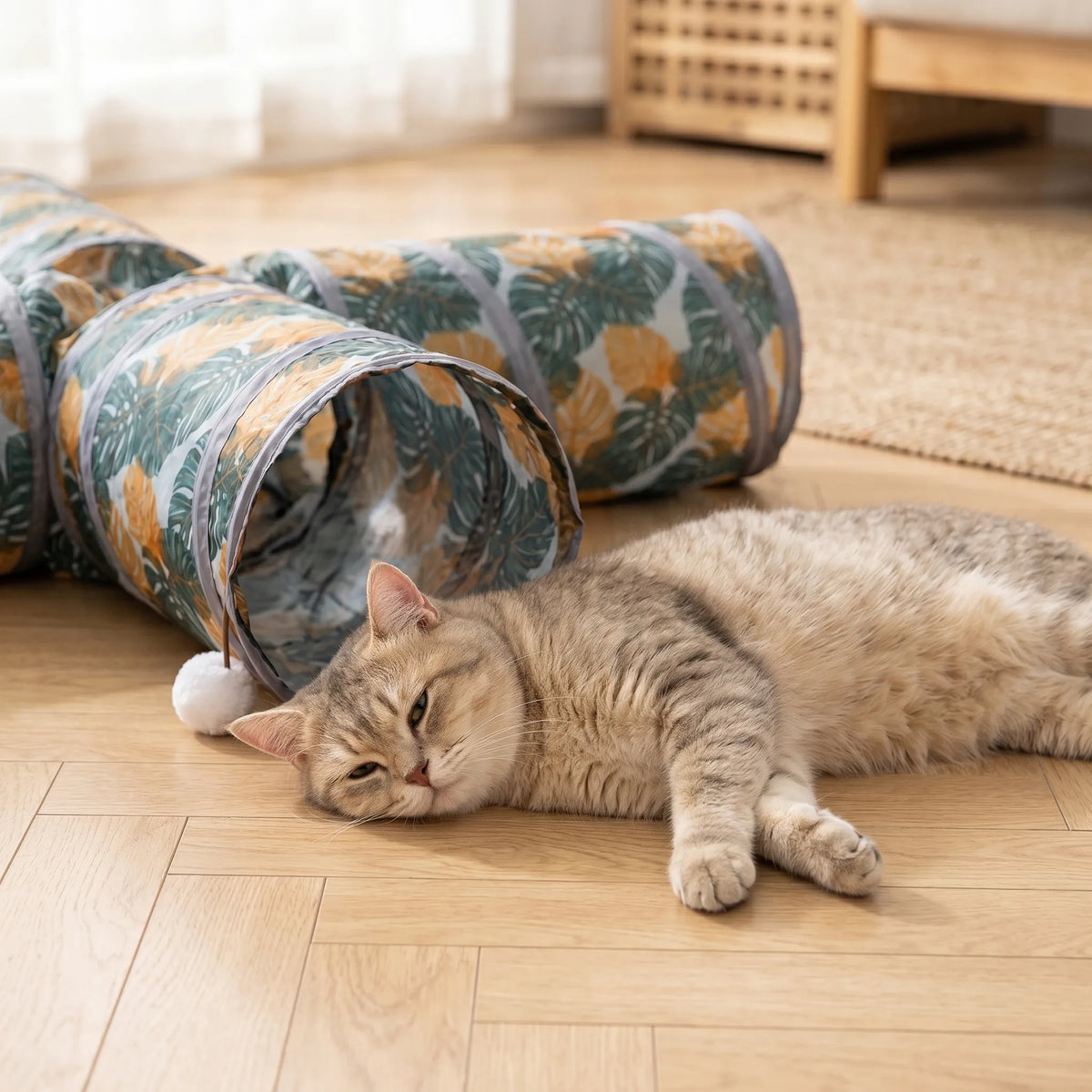 Chat d'appartement apaisé se reposant confortablement sur le sol juste à côté de son tunnel de jeu pliable en tissu. Image