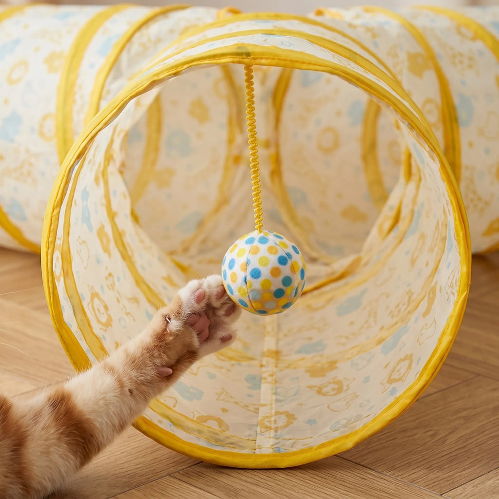 Gros plan sur une patte de chat attrapant la balle suspendue à l'entrée du tunnel d'exploration et d'exercice.