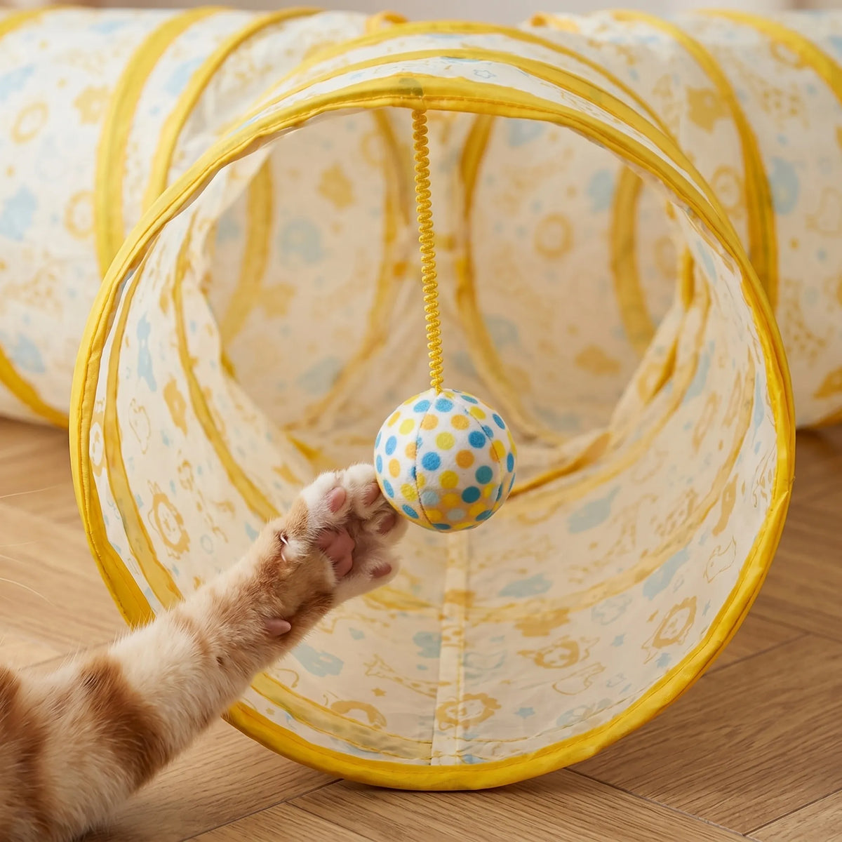 Gros plan sur une patte de chat attrapant la balle suspendue à l'entrée du tunnel d'exploration et d'exercice.